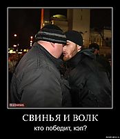 СВИНЬЯ И ВОЛК