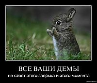 ВСЕ ВАШИ ДЕМЫ не стоят этого зверька и этого момента