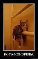 КОТЭ-МОНОРЕЛЬС 