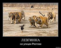 ЛЕЗГИНКА на улицах Ростова