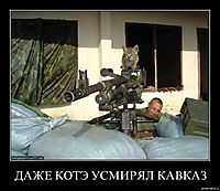 ДАЖЕ КОТЭ УСМИРЯЛ КАВКАЗ 