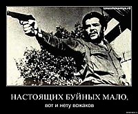 НАСТОЯЩИХ БУЙНЫХ МАЛО, вот и нету вожаков