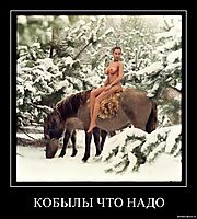 КОБЫЛЫ ЧТО НАДО 
