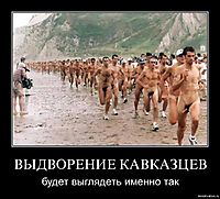 ВЫДВОРЕНИЕ КАВКАЗЦЕВ