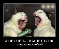 А НЕ СПЕТЬ-ЛИ МНЕ ПЕСНЮ аааааааааааа любви!!!