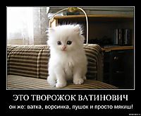 ЭТО ТВОРОЖОК ВАТИНОВИЧ он же: ватка, ворсинка, пушок и просто мякиш!