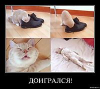 ДОИГРАЛСЯ! 