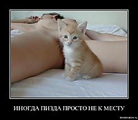 ИНОГДА ПИЗДА ПРОСТО НЕ К МЕСТУ 