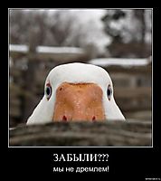ЗАБЫЛИ??? мы не дремлем!