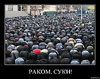 РАКОМ, СУКИ! 