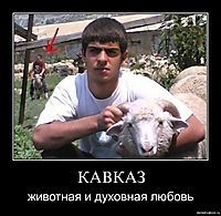 КАВКАЗ животная и духовная любовь
