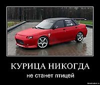 КУРИЦА НИКОГДА не станет птицей