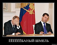 ЁЁЁЁЁЁБАНЫЙ ШМЕЛЬ 