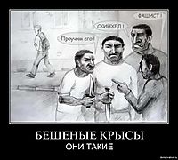 БЕШЕНЫЕ КРЫСЫ ОНИ ТАКИЕ