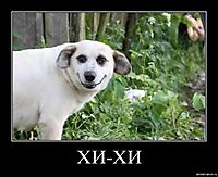 ХИ-ХИ 