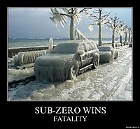 SUB-ZERO WINS FATALITY