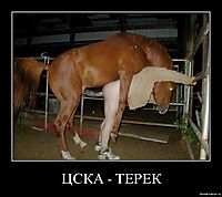 ЦСКА - ТЕРЕК 
