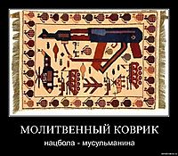 МОЛИТВЕННЫЙ КОВРИК нацбола - мусульманина