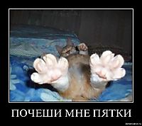 ПОЧЕШИ МНЕ ПЯТКИ 