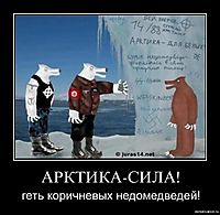 АРКТИКА-СИЛА! геть коричневых недомедведей!