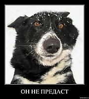 ОН НЕ ПРЕДАСТ 