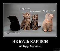 НЕ БУДЬ КАК ВСЕ! не будь быдлом!