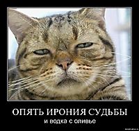 ОПЯТЬ ИРОНИЯ СУДЬБЫ и водка с оливье