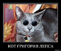 КОТ ГРИГОРИЯ ЛЕПСА 