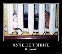 ХУЛЕ НЕ ТОПИТЕ блиать?!