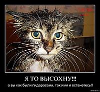 Я ТО ВЫСОХНУ!!! а вы как были пидарасами, так ими и останетесь!!