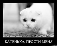 КАТЕНЬКА, ПРОСТИ МЕНЯ 