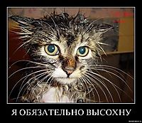 Я ОБЯЗАТЕЛЬНО ВЫСОХНУ 