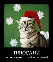 ПЛЮСАНИ