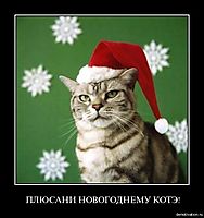 ПЛЮСАНИ НОВОГОДНЕМУ КОТЭ! 