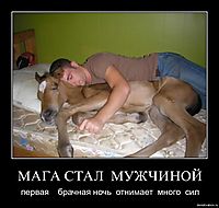 МАГА СТАЛ  МУЖЧИНОЙ первая    брачная ночь  отнимает  много  сил