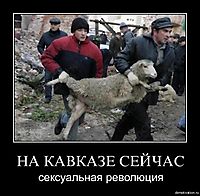 НА КАВКАЗЕ СЕЙЧАС сексуальная революция