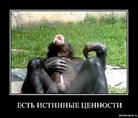ЕСТЬ ИСТИННЫЕ ЦЕННОСТИ 