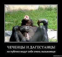 ЧЕЧЕНЦЫ И ДАГЕСТАНЦЫ на публике ведут себя очень вызывающе