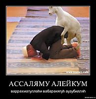 АССАЛЯМУ АЛЕЙКУМ варрахматуллаhи вабаракятуh аузубилляh