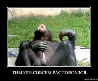ТИМАТИ СОВСЕМ РАСПОЯСАЛСЯ 