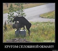 КРУГОМ СПЛОШНОЙ ОБМАН!!! 