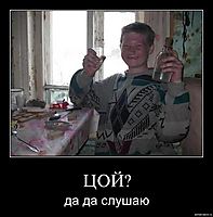 ЦОЙ? да да слушаю
