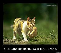 СЫНОК! НЕ ПОЗОРЬСЯ НА ДЕМАХ 