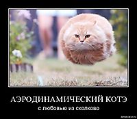 АЭРОДИНАМИЧЕСКИЙ КОТЭ с любовью из сколково