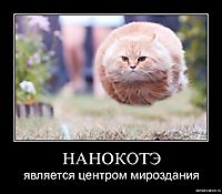 НАНОКОТЭ является центром мироздания