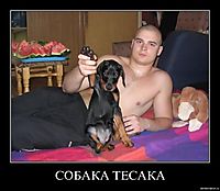 СОБАКА ТЕСАКА 