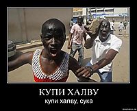 КУПИ ХАЛВУ купи халву, сука