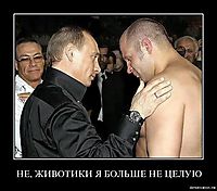 НЕ, ЖИВОТИКИ Я БОЛЬШЕ НЕ ЦЕЛУЮ 