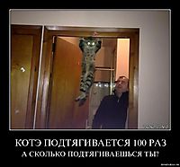КОТЭ ПОДТЯГИВАЕТСЯ 100 РАЗ А СКОЛЬКО ПОДТЯГИВАЕШЬСЯ ТЫ?
