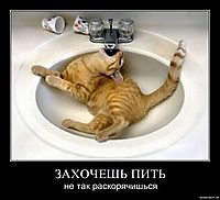 ЗАХОЧЕШЬ ПИТЬ не так раскорячишься